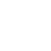 The Hair Society Logo